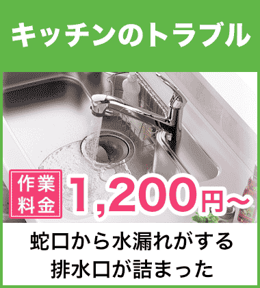 キッチン（台所）の蛇口の水漏れ修理